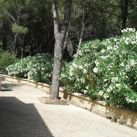 Casa En La Sierra A 15 Minutos De * 科爾多瓦